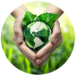 A hand holding a green globe with a leaf on it.